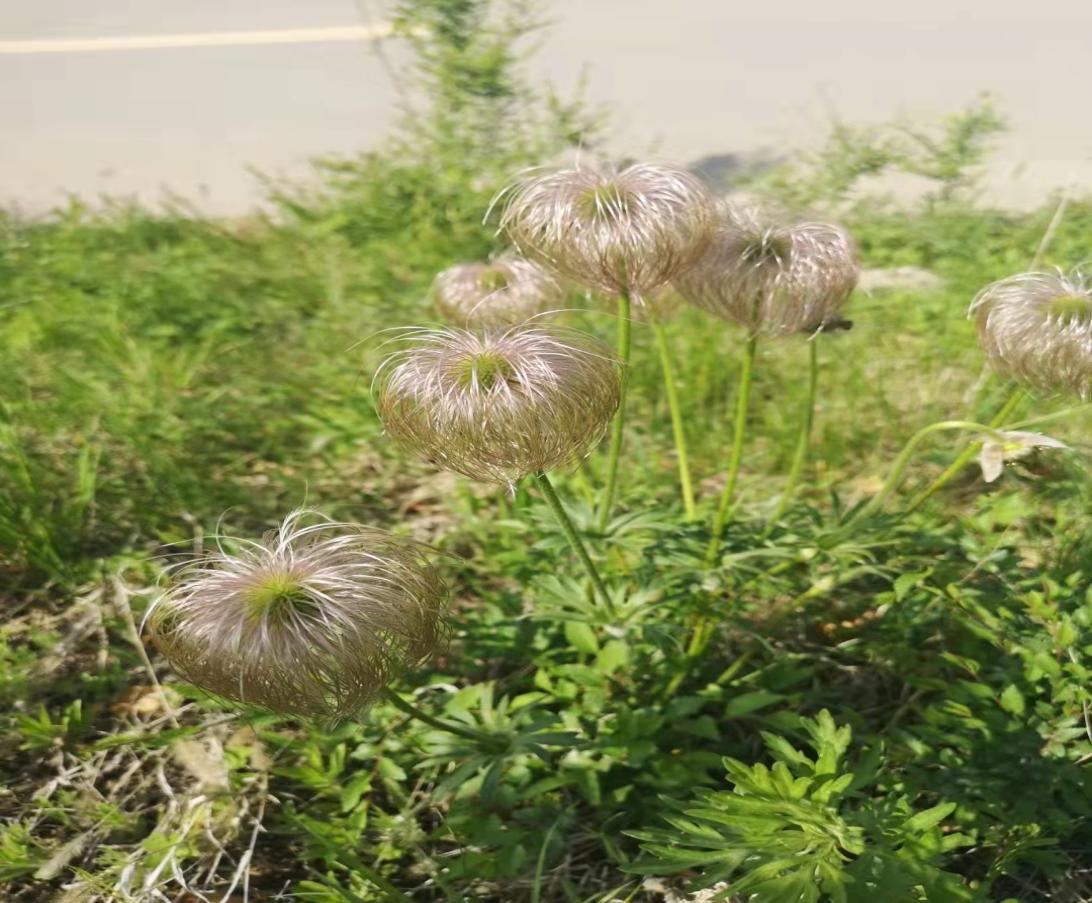 0132131312312.jpg 0132131312312.jpg