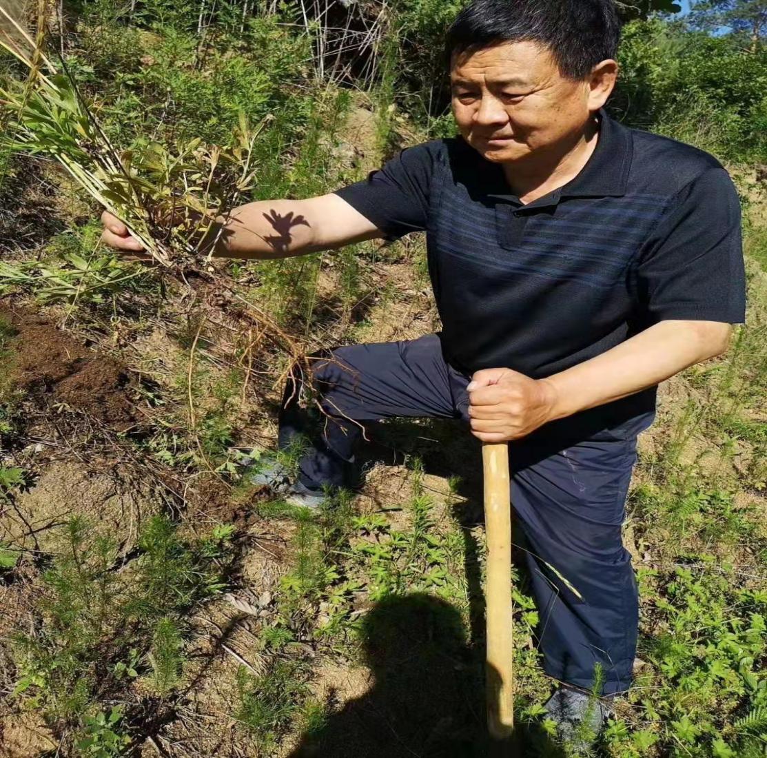 03213213123.jpg 03213213123.jpg